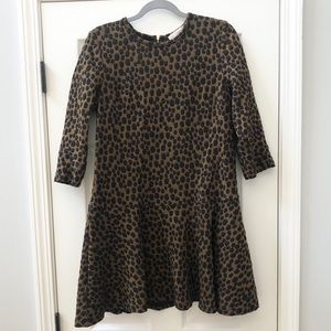 Loft Drop Waist Dress